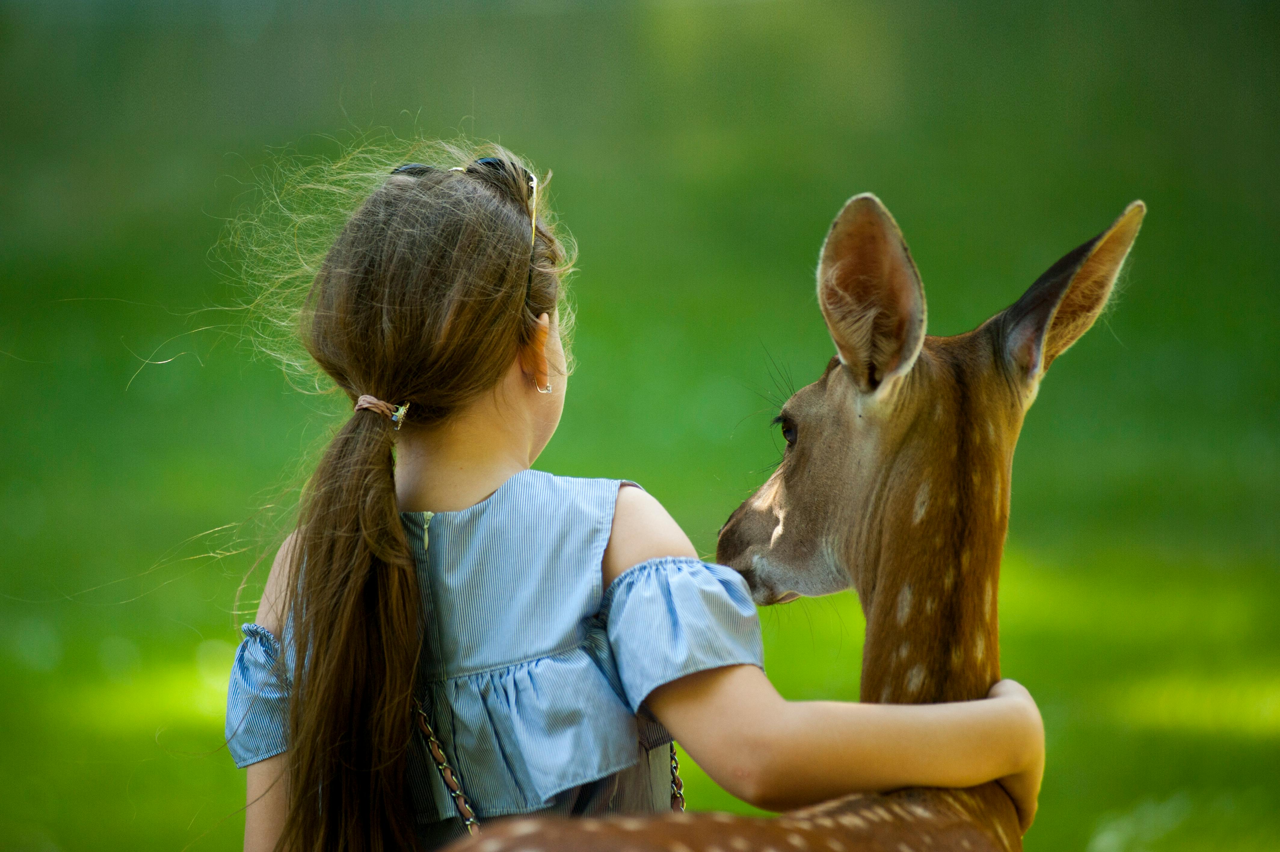 Girl hugging deer