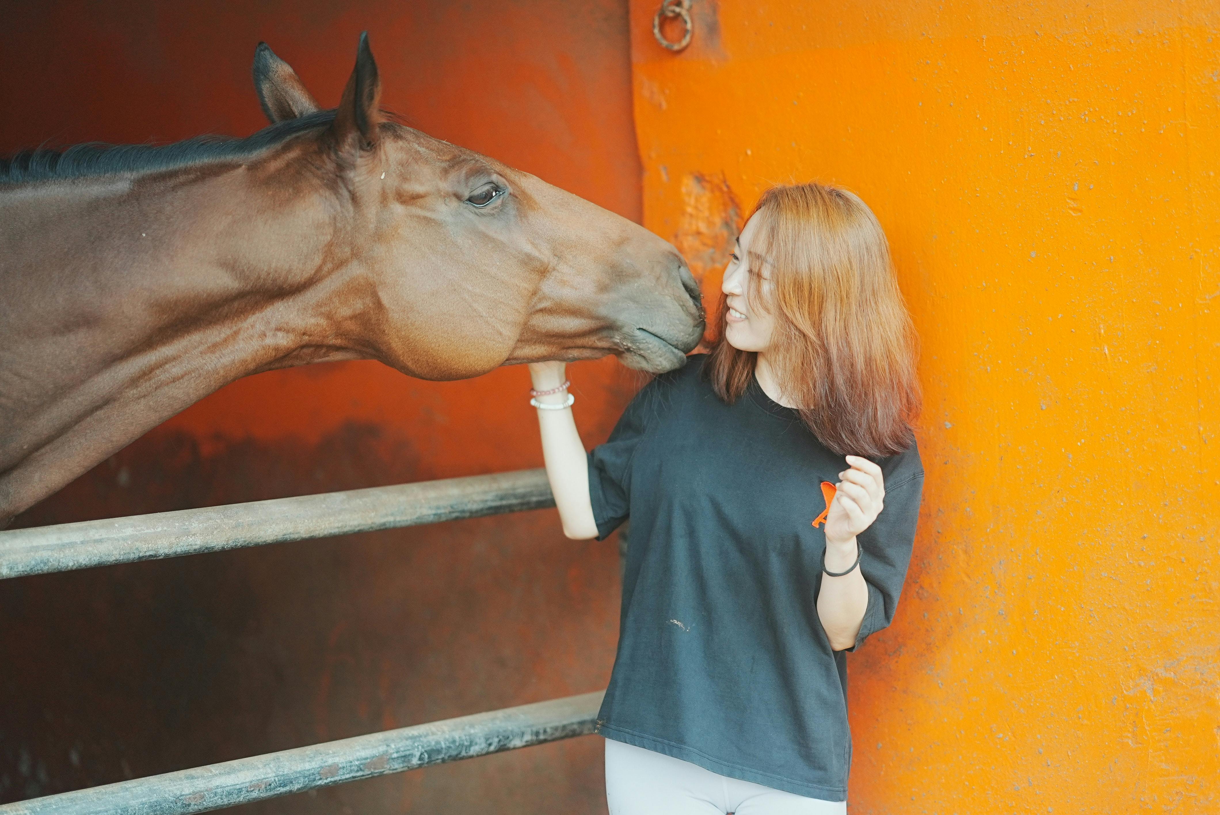 Lady with horse